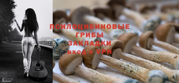 PSILOCYBIN Елизово