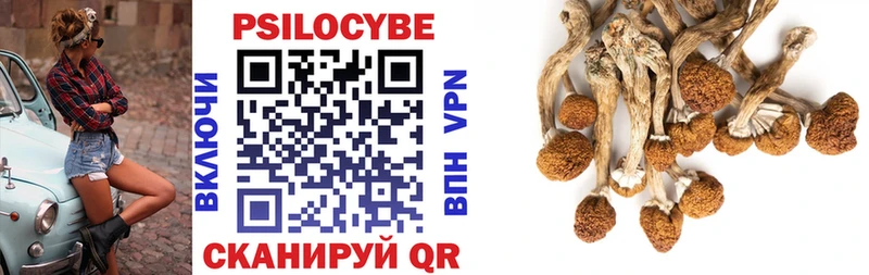 Купить где  Шахунья  Галлюциногенные грибы ЛСД 